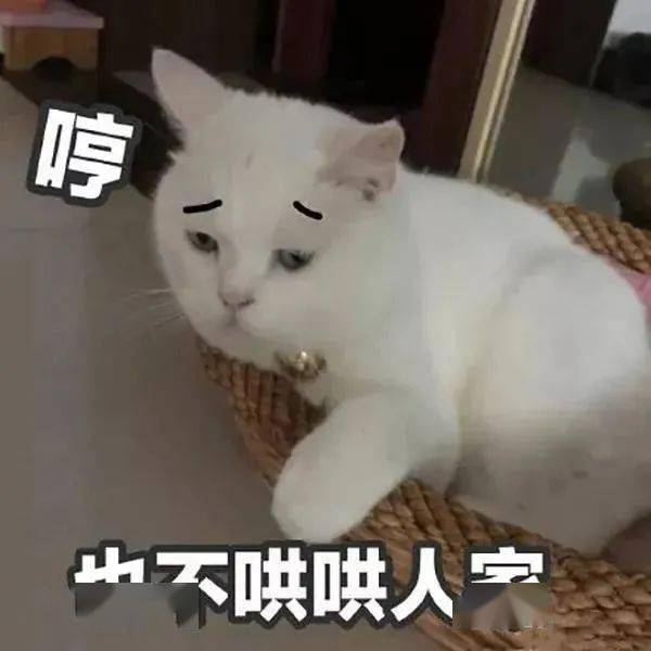 35502885b0024e3bacad1559062d20c1.jpeg
