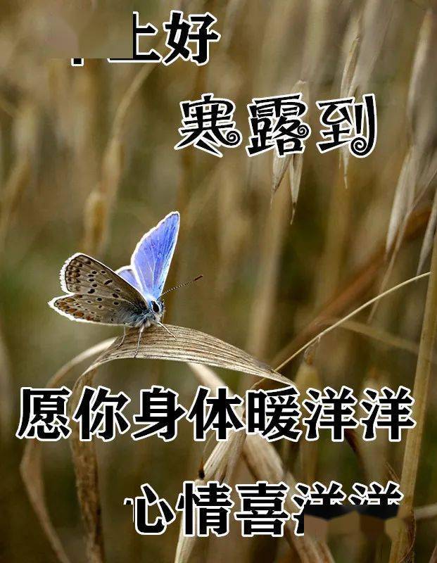 10月8日寒露最漂亮表情图片大全