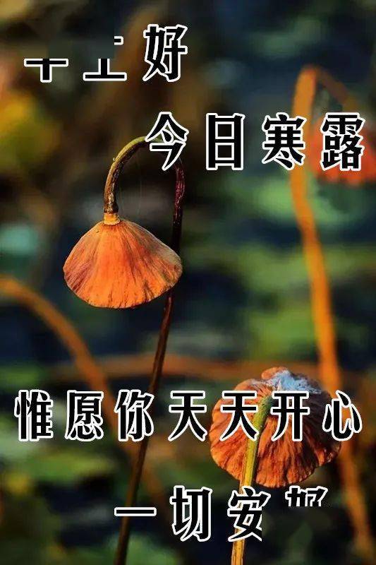 10月8日寒露最漂亮早上好表情图片大全,早晨好动图美图大全 我在等一