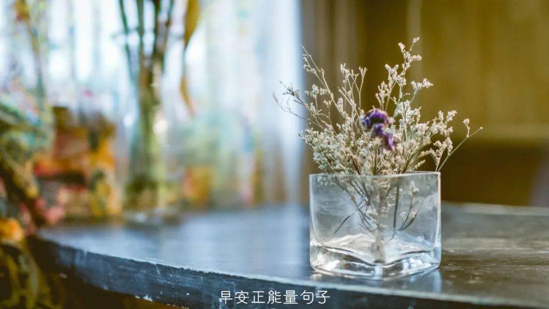 早安心语阳光说说 早安朋友圈暖心句子