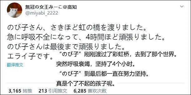 dc2f5b9f32a144c59b19acb22fc551f7.jpeg