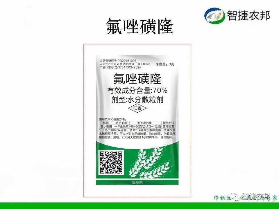 小麦除草剂使用注意事项_小麦除草剂_小麦除草剂的用法