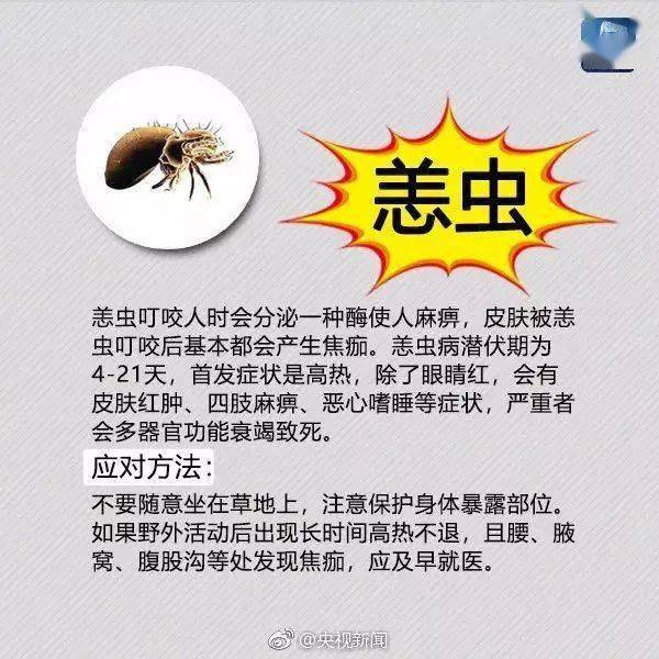 9c1cfebc2faa4896a216d9a1cafd5d20.jpeg
