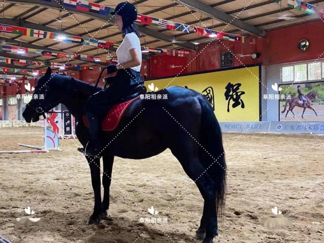 暖暖||单身推荐|阜阳身高176，服装设计师小姐姐，等待你的出现