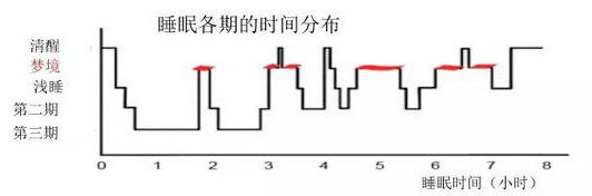 睡眠|几点睡会影响孩子长高？