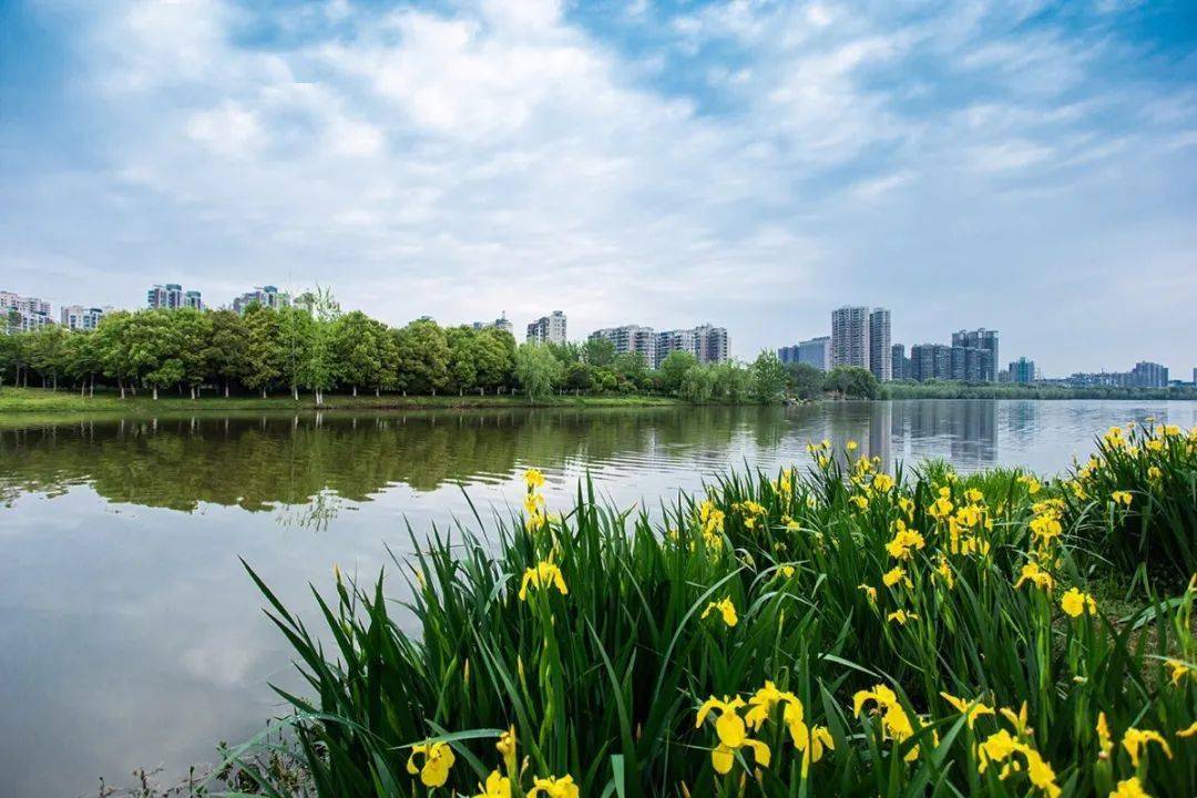 孝感城区人口有多少_孝感北城区规划图2020