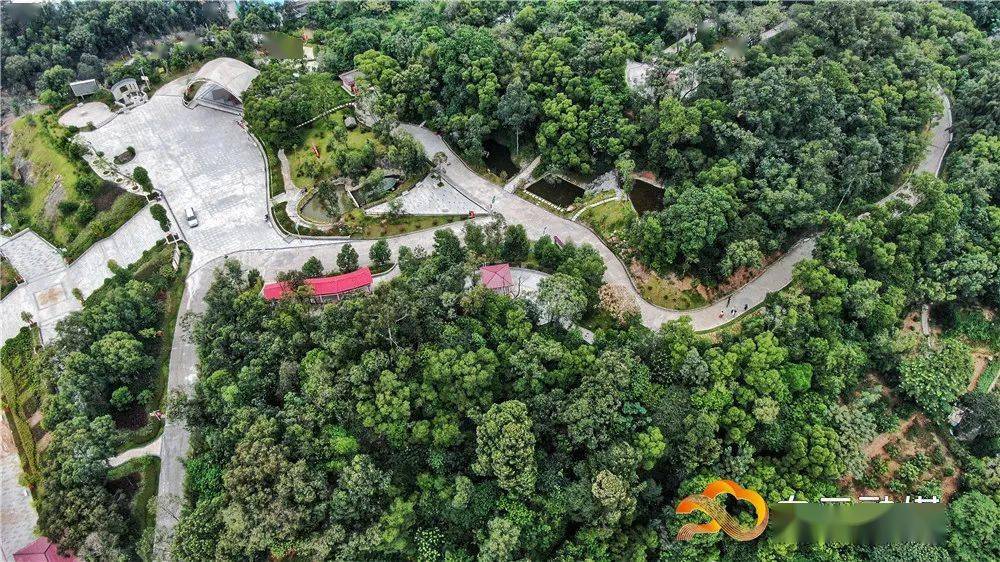 石门街道gdp_石门二路街道老照片