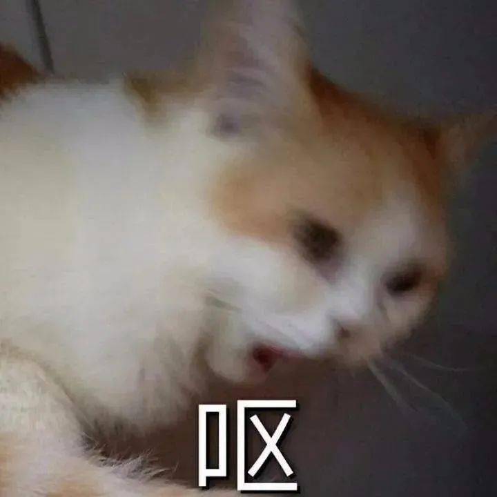 神器|炫酷干衣神器，把太阳穿在身上，麻麻再也不用担心我穿湿衣服~