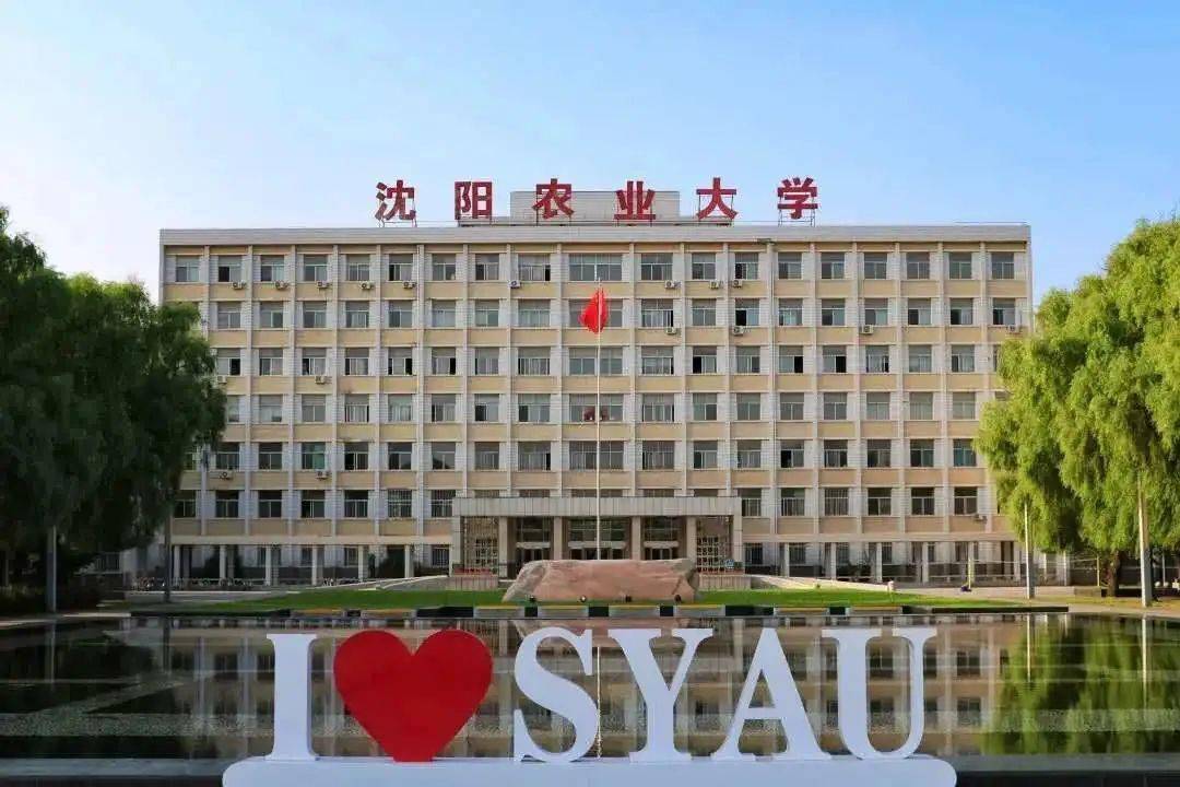 迎新季|经管学院拍了拍你,说欢迎新朋友的到来