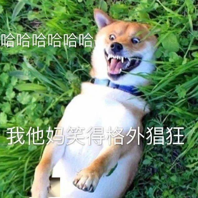 乱七八糟的沙雕表情包,我可太喜欢了!