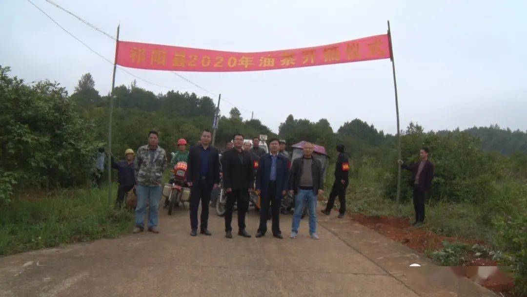 在大村甸镇油茶基地里,红褐色的油茶果挂满树枝,当地镇村干部坚守岗位