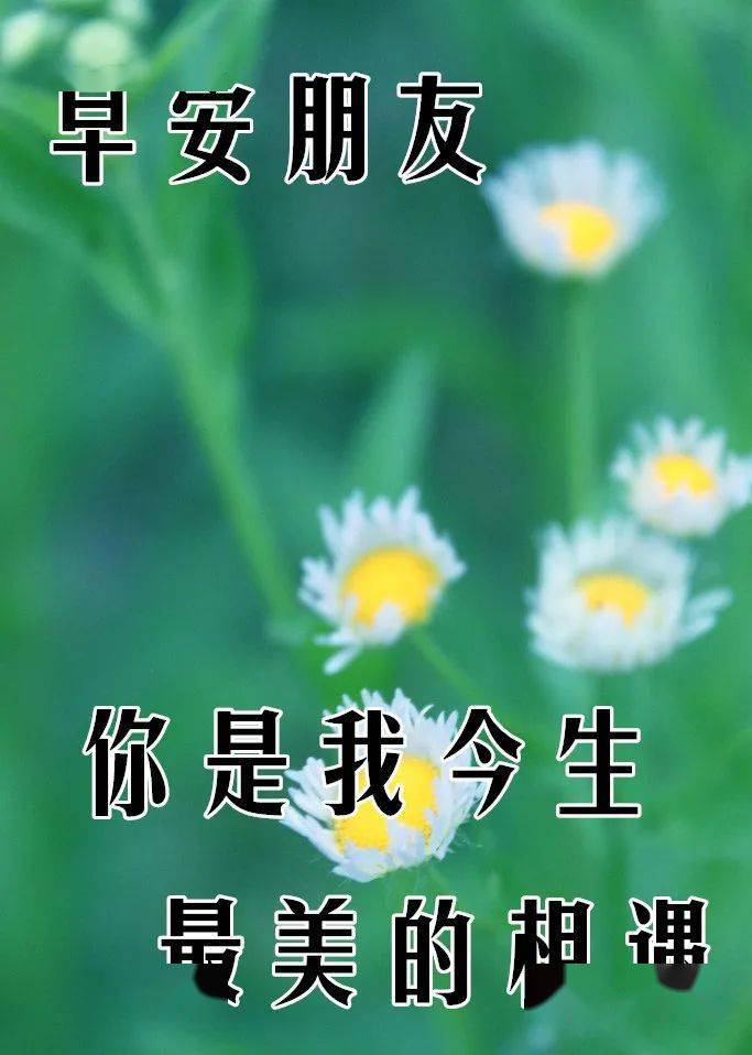 10月10日最漂亮早上好动态表情图片大全,早晨好动图美图大全