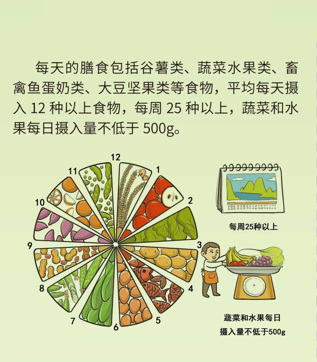 平衡膳食宝塔,平衡膳食餐盘等支持性工具,根据个人特点合理搭配食物