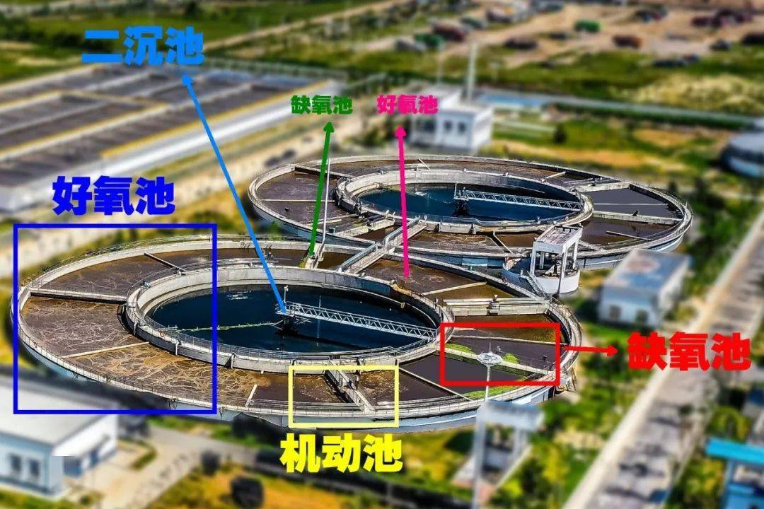 文章配图-10