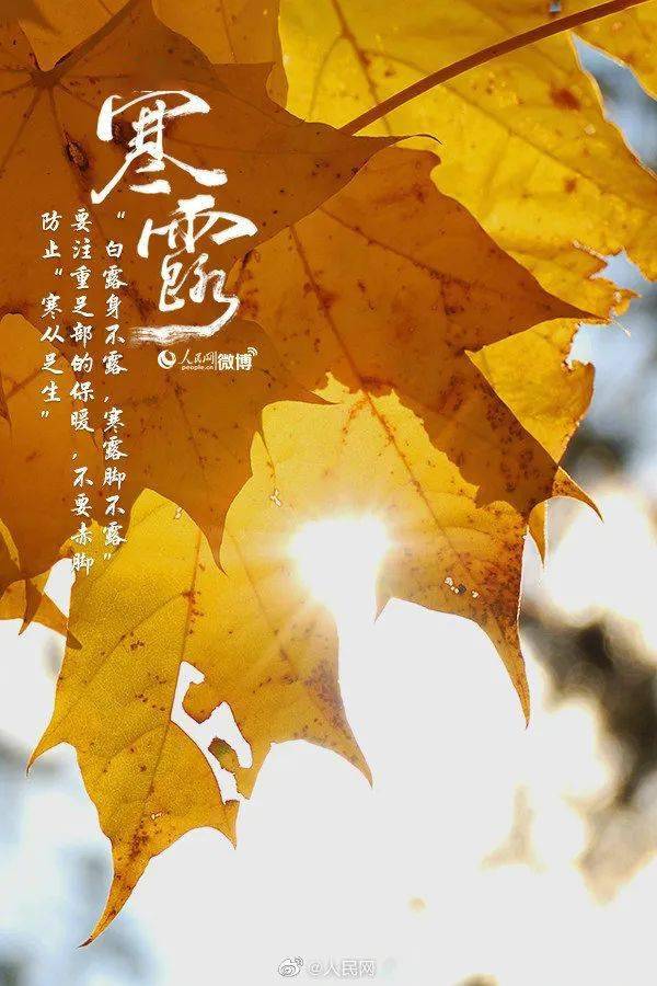 今日|寒露