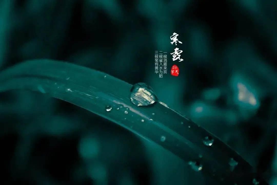 a2ed57b567334363b6293d1a92f69581.jpeg