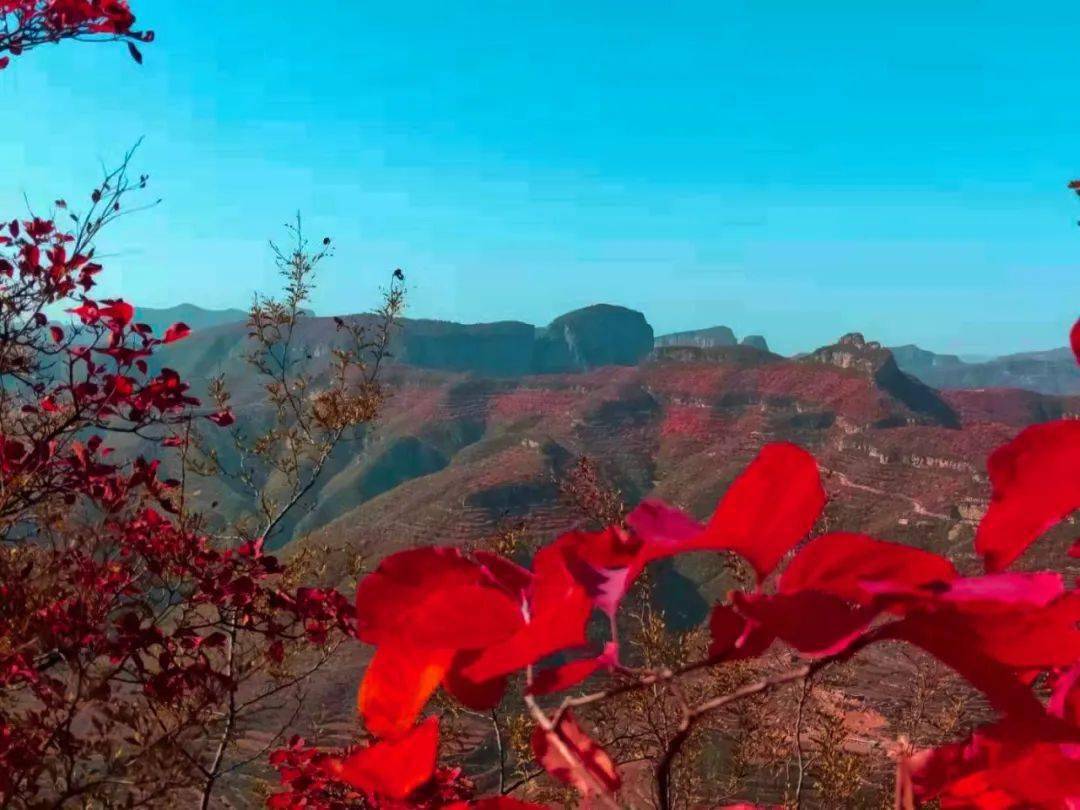 如此优雅佛照山 观景 踏青 等你来_手机搜狐网