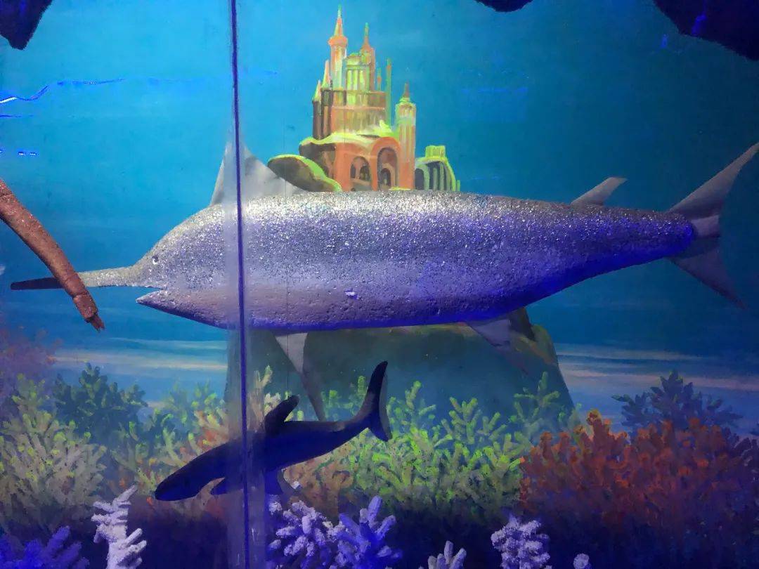 太离谱了，我被骗去看了西安最真的假兵马俑