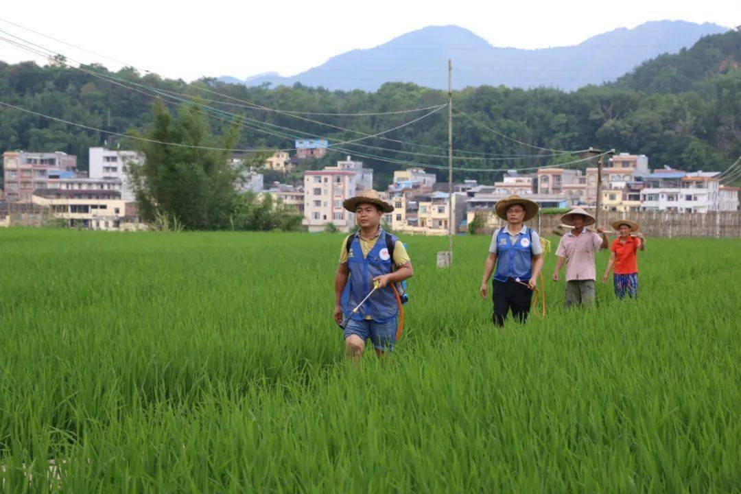 第一大少数民族有多少人口_广西有多少个少数民族(3)