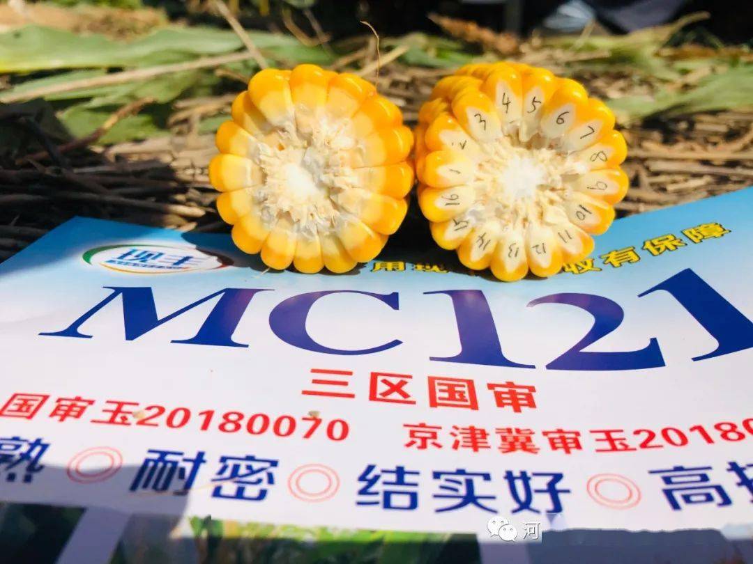 【关注】现丰mc121产量位列第一名!_手机搜狐网