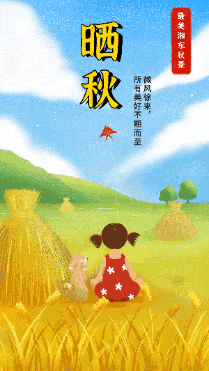 300_533 竖版 竖屏