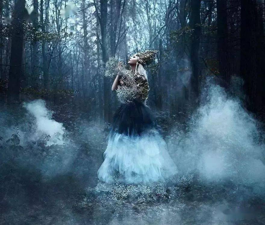 女孩|她用鲜花打造出如梦般的童话世界 让无数女孩实现仙女梦