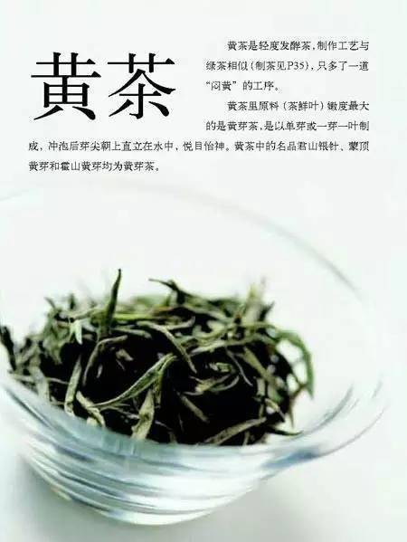 茶人|爱茶人必知！史上最全茶叶冲泡法