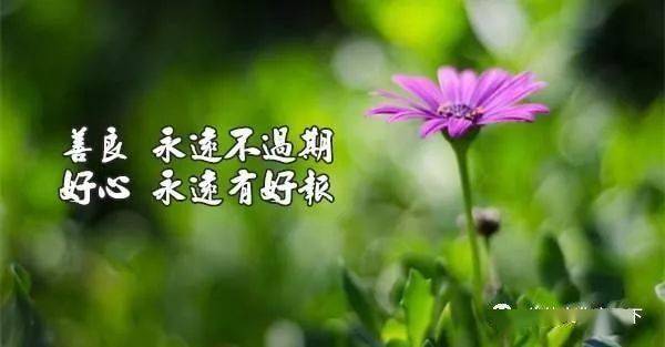 cc9376ecfdb543dea6cc104e2d60f7db.jpeg