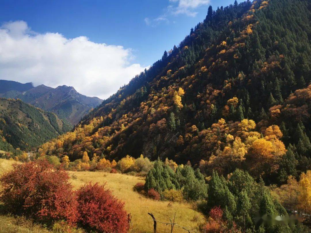 青海互助北山秋景,看不够!