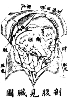 西方|鲁迅为何偏爱“解剖”的隐喻？