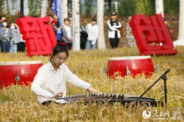 校园|沈阳建筑大学：校园里的丰收节