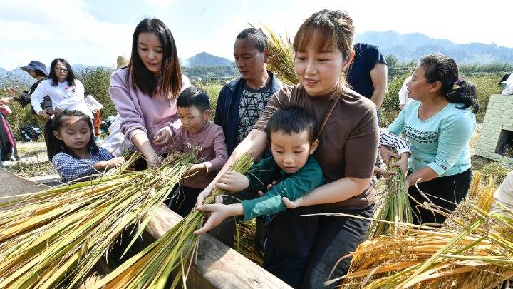 实验幼儿园|湖南张家界：劳动实践 助力成长