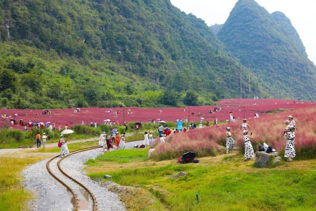 长顺有多少人口_简阳长顺村图片(2)