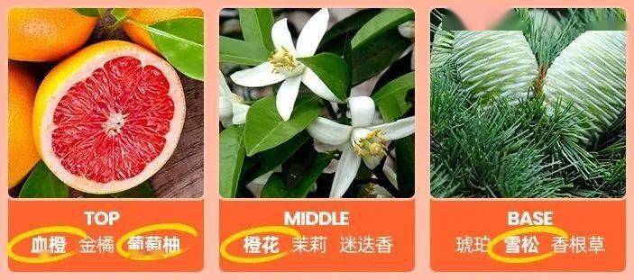 heru|堪称「心机版」衣物香水，法国黑科技留香珠，1 秒拥有高级香