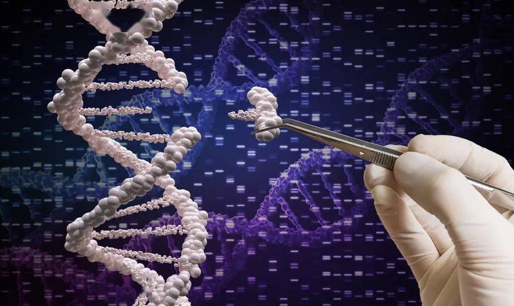 2020美国数据科学硕_美英港新独家:2020年美国数据科学DataScience项目自制(2)