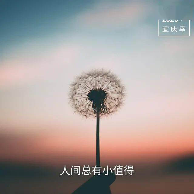 0474da8c8fb442a5b35ae7412f75962d.jpeg