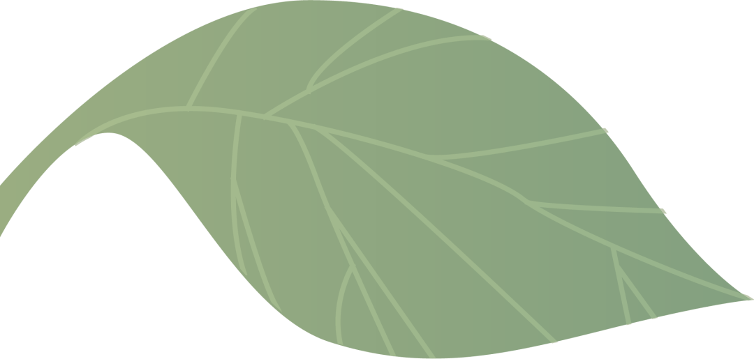 hth华体会|
运动预告丨“红周到”便民服务(图1)