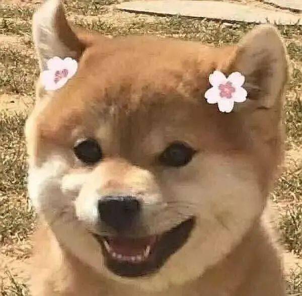 实测|测评｜YSL网红气垫到底值不值得买？10小时实测告诉你！