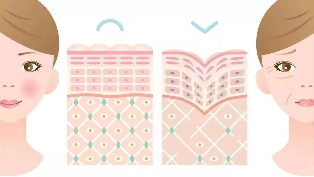 美容|看完《浪姐》，谁不羡慕张雨绮的美貌？！