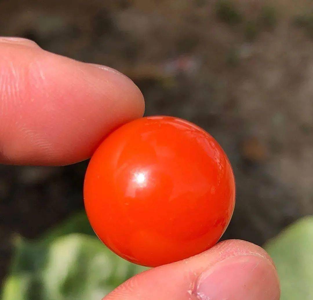 珠子|一颗联合料南红，花了10万！5颗珠子，花了几十万！现在有钱人都这样玩了么？！