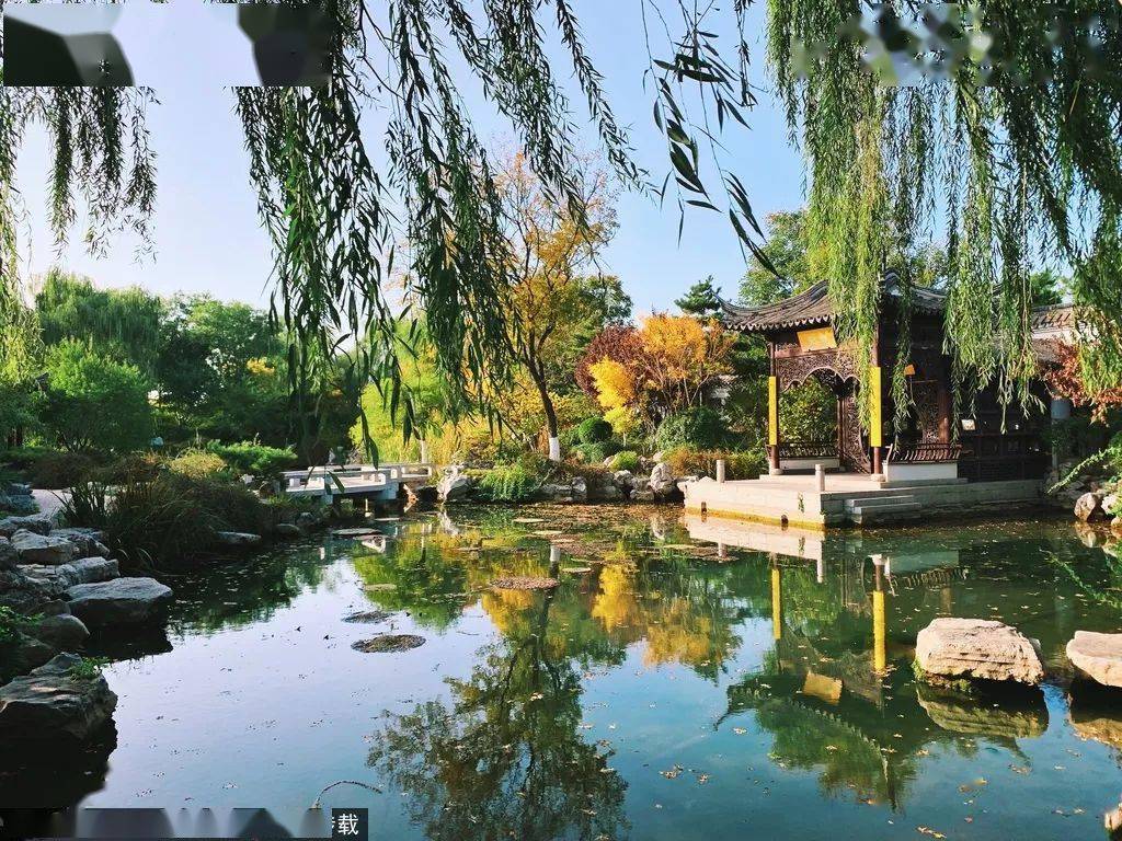 北方的秋天是浩然秋风 是漫山遍野的红叶 但江南的秋天 看看黛瓦粉