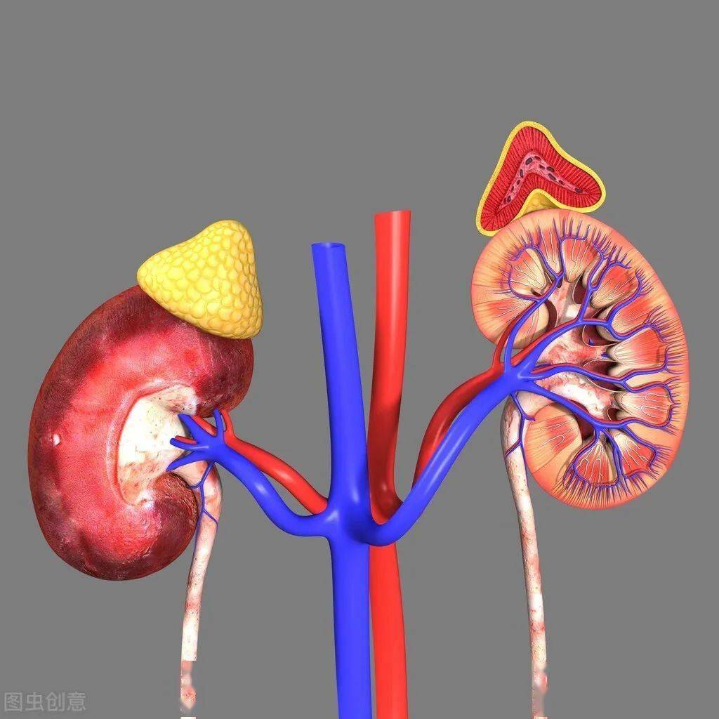 c199892803f14db2b96190e192077a0c.jpeg
