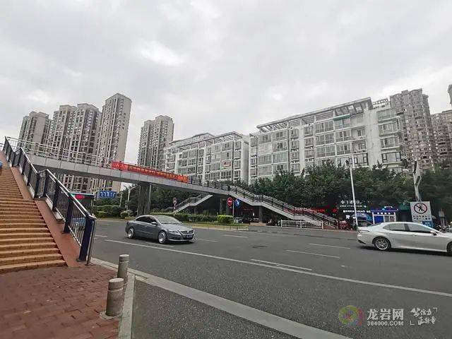 龙岩有多少人口_原神龙岩蜥岩抗多少