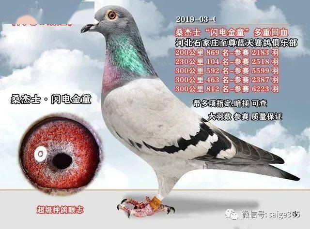 37ce2ad6ae884806b86d2bb7b74fa9d4.jpeg