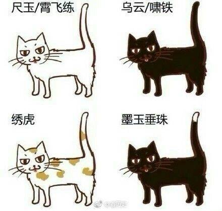 小猫|2万人围观“宋朝人买猫下聘礼”，古代铲屎官：别小瞧这行