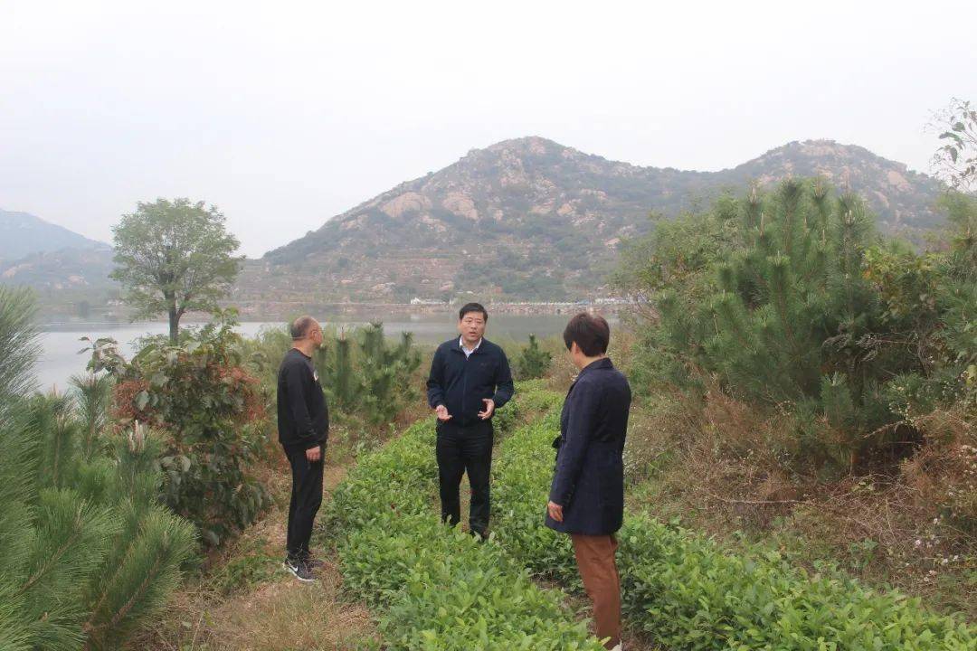曲谱黄河的源头在哪里