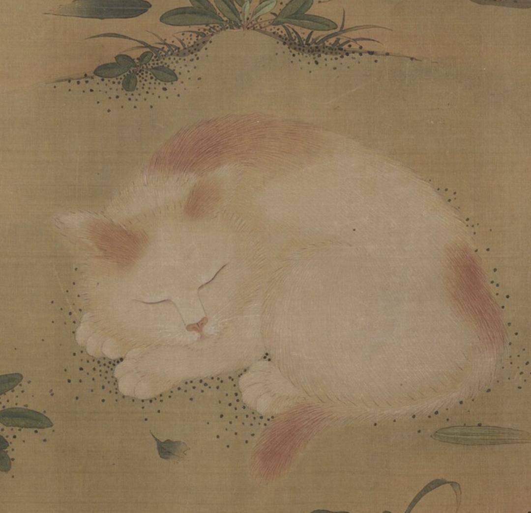 小猫|2万人围观“宋朝人买猫下聘礼”，古代铲屎官：别小瞧这行