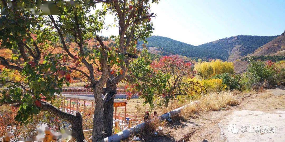 凌源市城关镇安杖子村"九头山"景区秋韵好风光