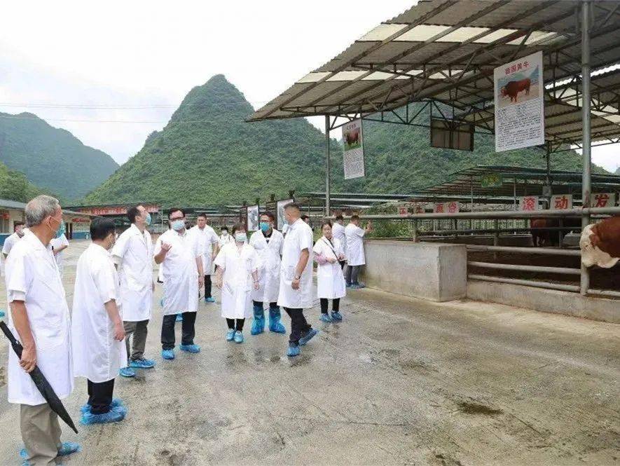 都安县2020年GDp_都安县图片(3)