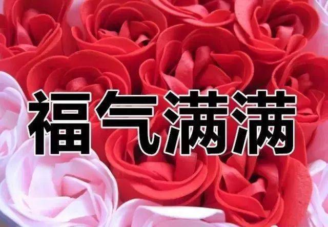 农历九月初一,快打开为九月起个好头,祝你天天都有好运气!_祝福